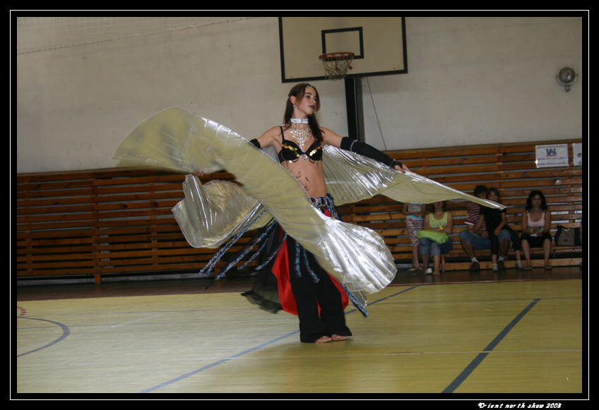 IMG_4044a.jpg